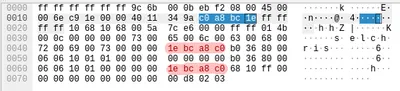 A closer inspection of the scan response. Notice how the highlighted parts repeat. The blue highlight represents the source IP address in the IP header. The red highlight represents parts of the UDP payload.